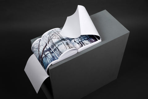 A Murmur in the Trees