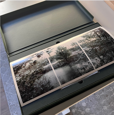 A Murmur in the Trees