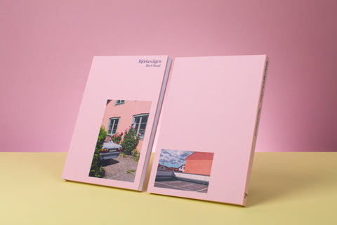 Björkevägen (Birch Road) and The Northside