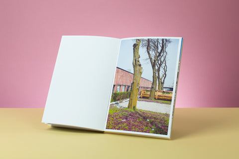 Björkevägen (Birch Road) and The Northside