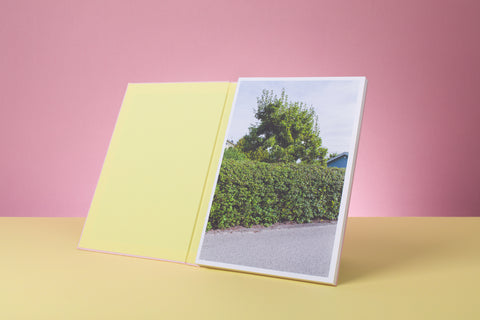 Björkevägen (Birch Road) and The Northside