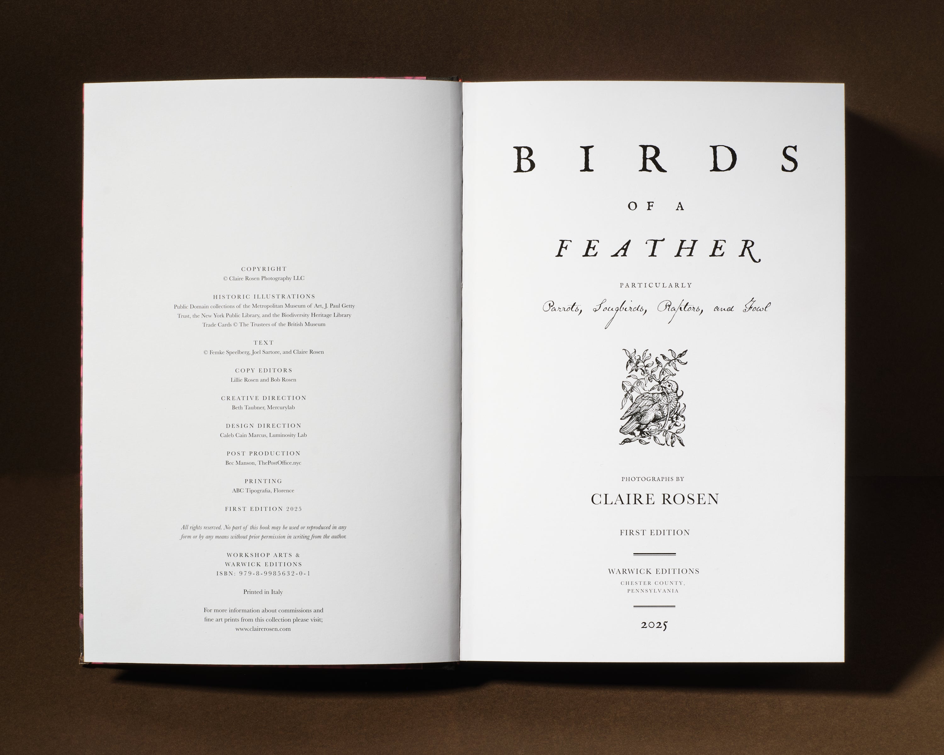 Birds of a Feather – Workshop Arts