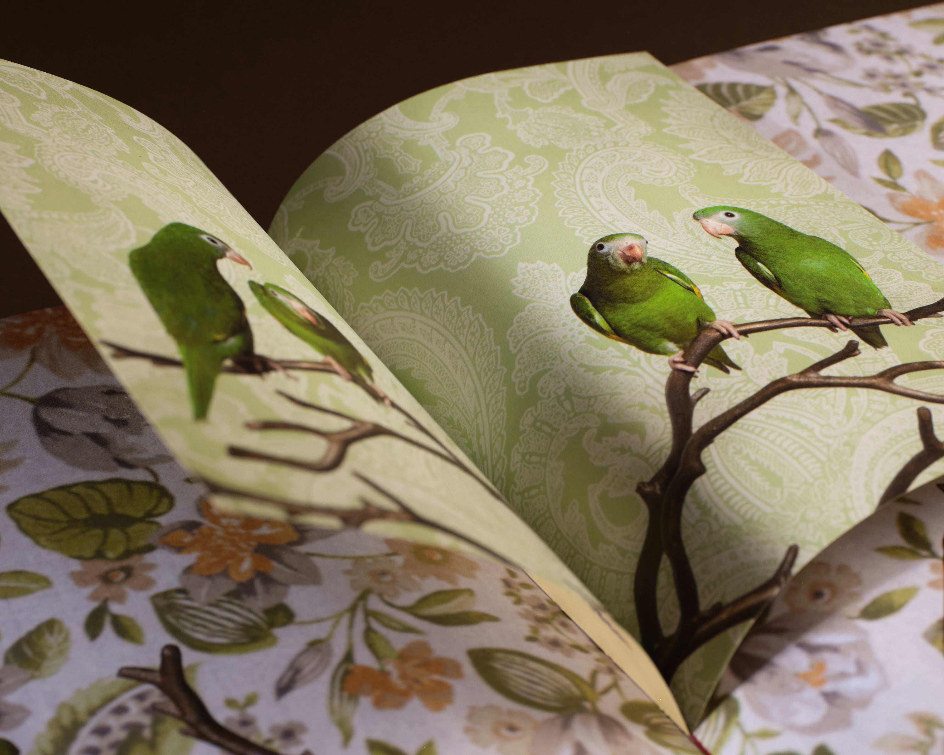 Birds of a Feather – Workshop Arts
