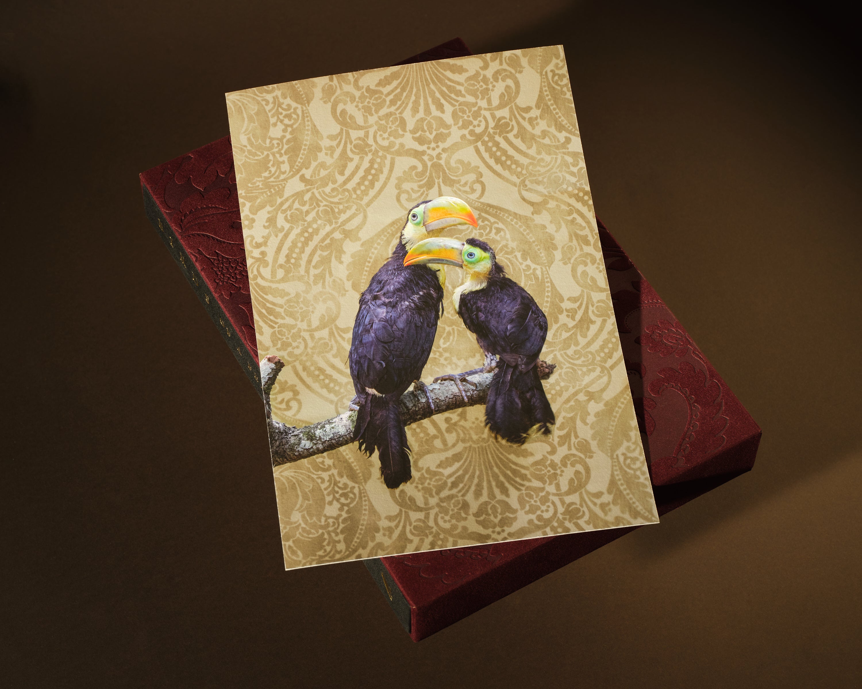 (未使用･未開封品)Birds of a Feather - The Collection Birds of a Feather 500-Piece Puzzle – Elegant Crane Book Puzzle