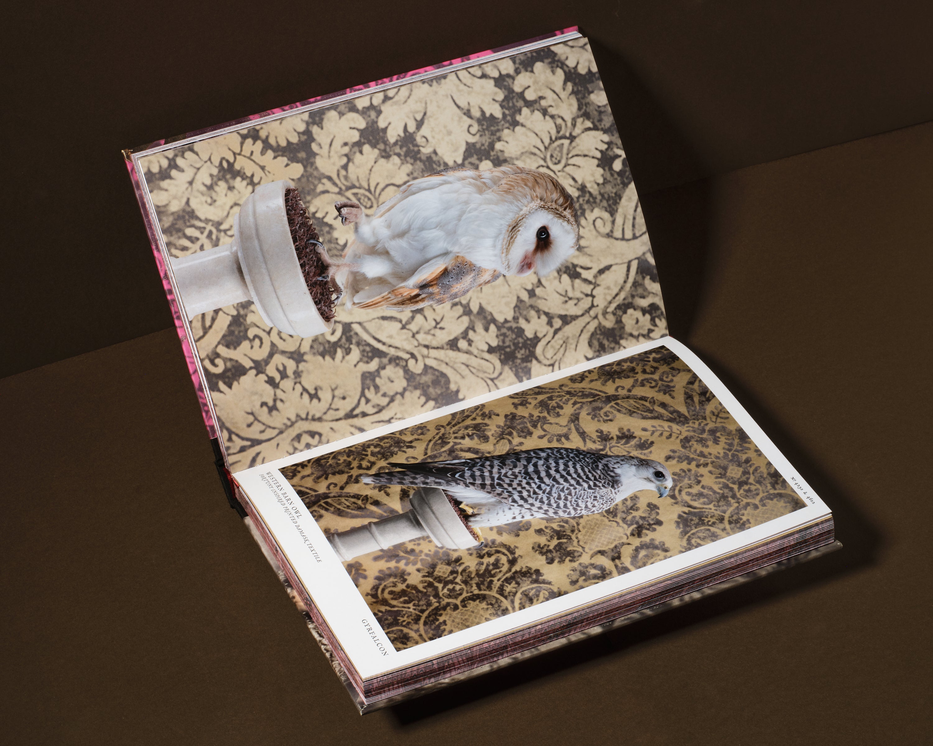 Birds of a Feather – Workshop Arts