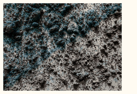 My Mother's Tender Script